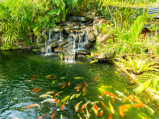 1669016145574367.jpg 1603942922376685.jpg